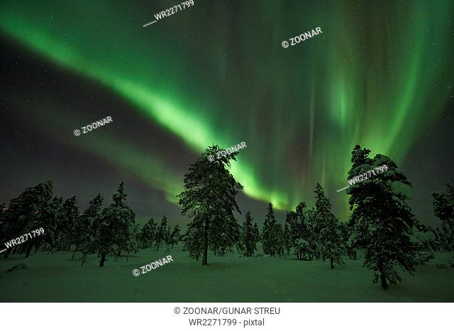 Northern lights (Aurora borealis), Lapland, Sweden