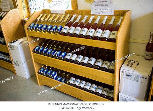 Wine Bottle Display in Winery in Finger Lakes Region New York