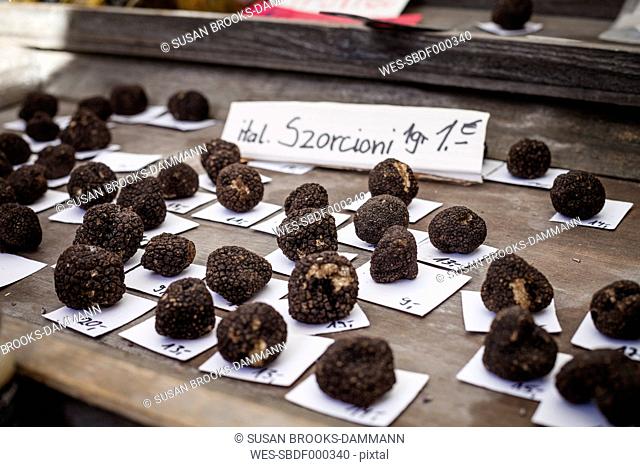 Germany, Munich, market stall with black truffels at Viktualienmarkt