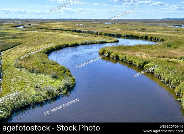 USA, Maryland, Drone view of marsh along Nanticoke River on Eastern Shore
