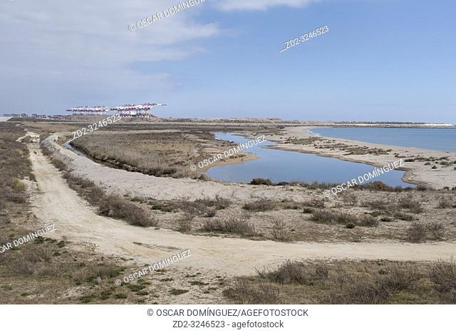 Natural Areas of the Llobregat Delta with the Barcelona industrial port area in background. Barcelona province. Catalonia. Spain
