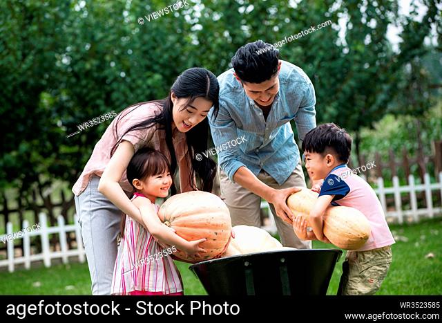 Oriental family of four picking pumpkins