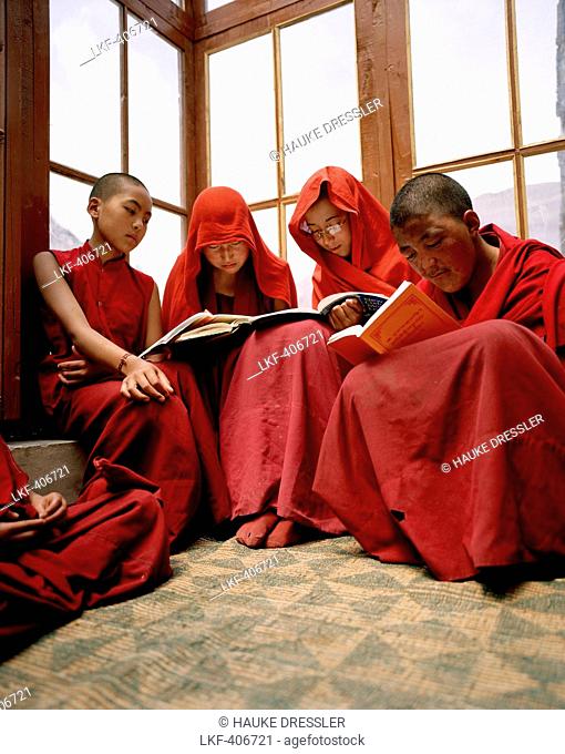 Students reading at the nunnery Chullichan Nunnery School, convent Rizong west of Leh, Ladakh, Jammu and Kashmir, India