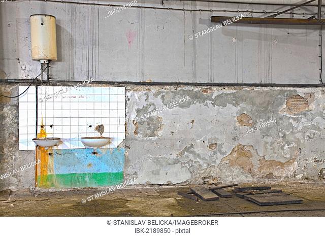 Wash room in an old abandoned factory in Rijeka, Croatia, Europe