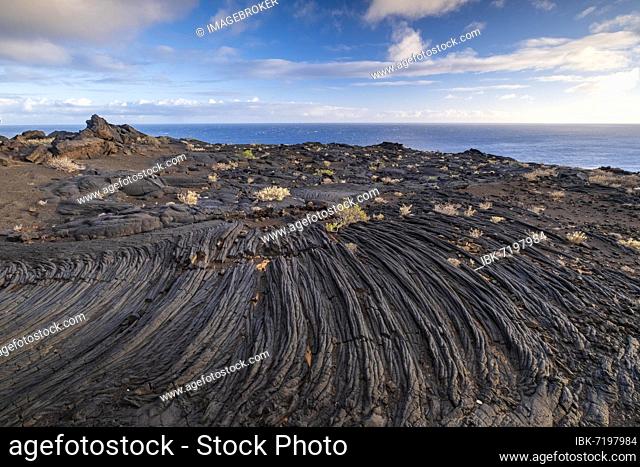 Typical volcanic landscape near La Restinga, Pahoehoe lava, El Hierro, Canary Islands, Spain, Europe
