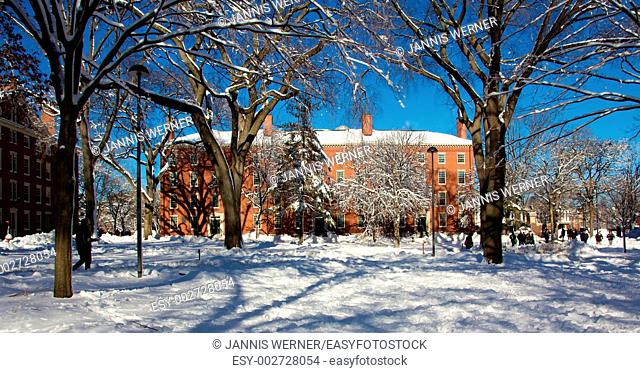 Red brick dorm building in snow-covered Harvard Yard, the old heart of Harvard University campus in Cambridge, MA