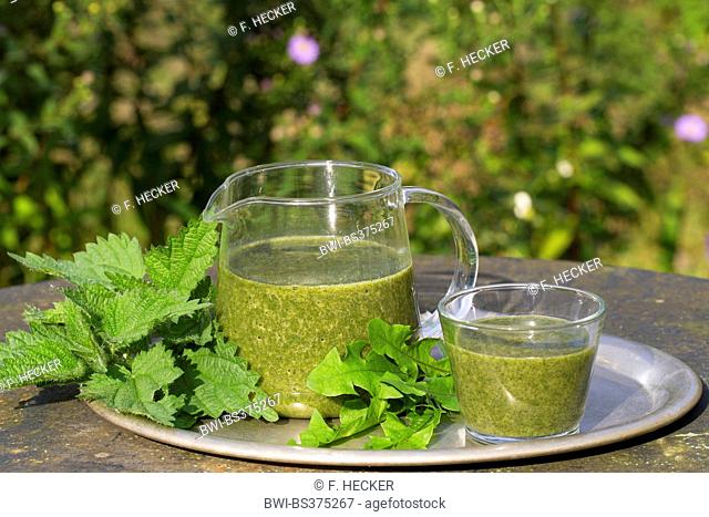Green Smoothie made of Stinging Nettle and dandelion