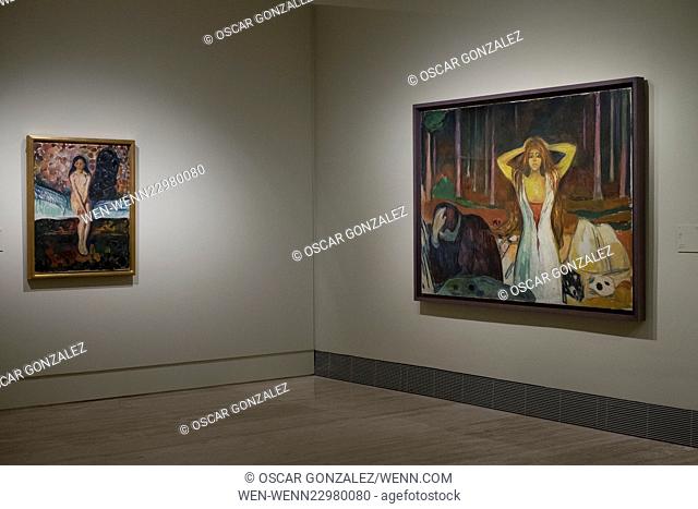 exhibition Edvard Munch Archetypes. Thyssen-Bornemisza Museum, Featuring: Edvard Munch Archetypes, exhibition. Where: Madrid