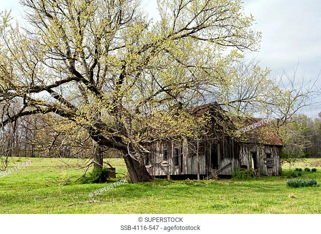 Abandoned house in a field, Arkansas, USA