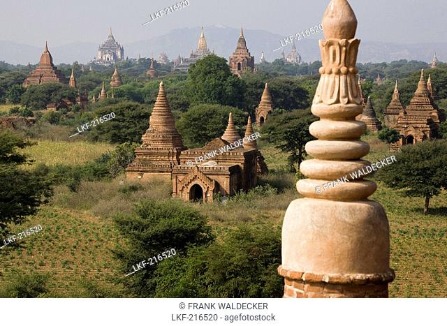 View over the field of Pagodes in Bagan, Myanmar, Burma