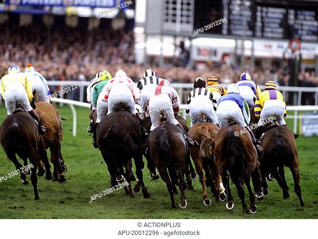 Rear view as a group of horses race round corner towards finish line