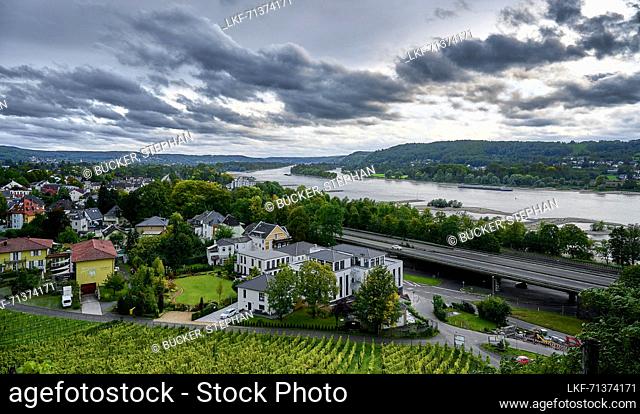 View over the RhÃ¶ndorf vineyards in south direction over the Rgein, Bad Honnef, North Rhine-Westphalia, Germany
