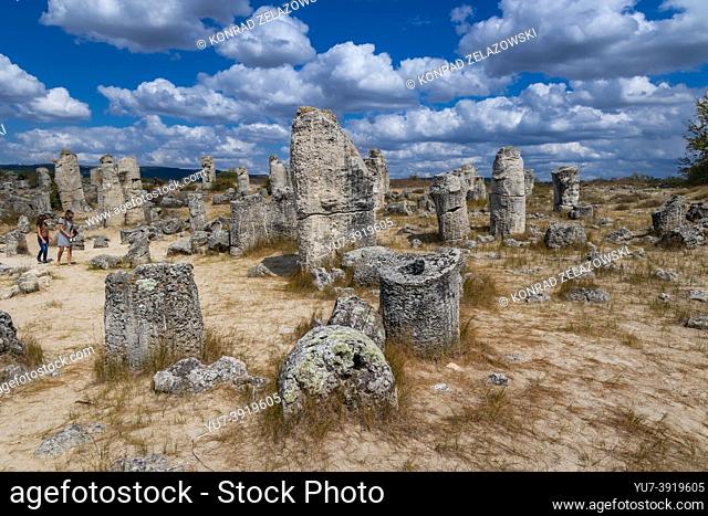 Aerial view of area of Pobiti Kamani rock formations called Stone Desert in Bulgaria