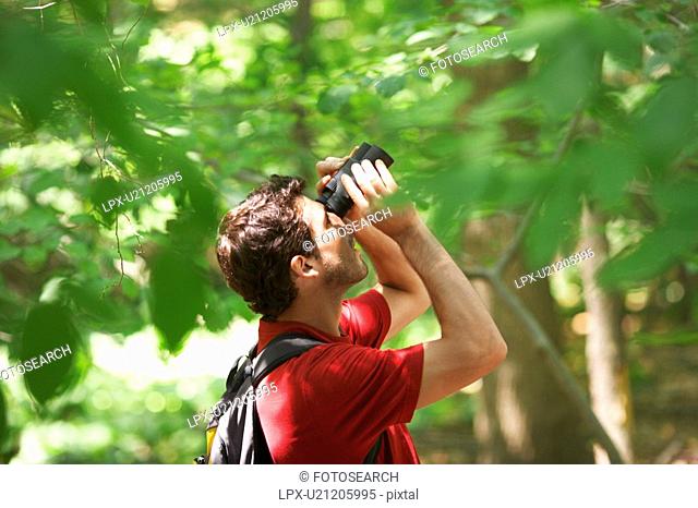 Man watching birds in forest