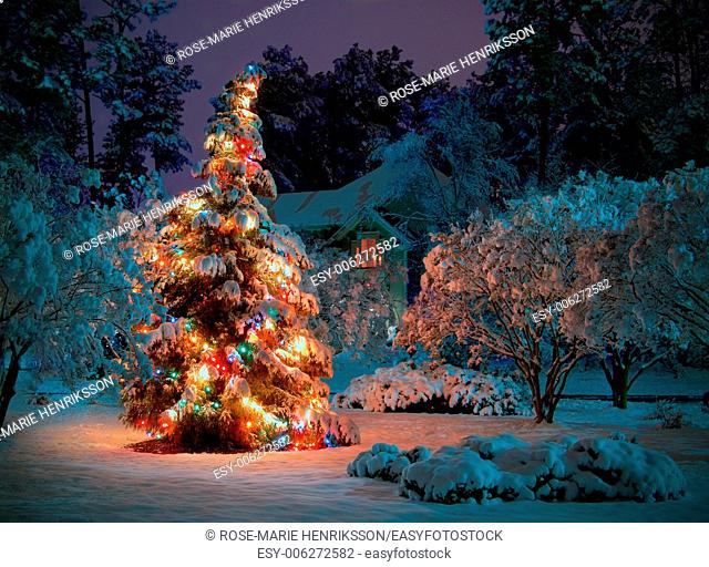 Snow covered outdoot Christmas tree with multicolored lights