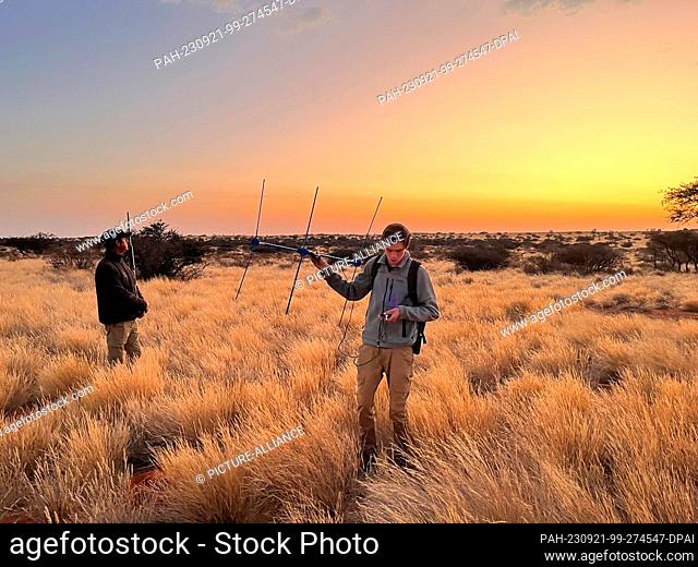 PRODUCTION - 27 July 2023, South Africa, Kuruman: Researcher Daniel Rossouw (right) stands in the high steppe grass of the Kalahari semi-desert in South Africa...