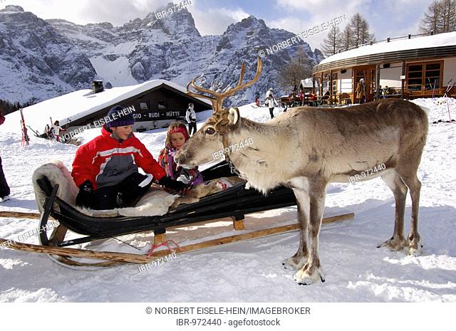 Children on a reindeer sleigh on the Rotwand or Pietrarossa Mountain, High Puster Valley or Alto Pusteria, Bolzano-Bozen, Dolomite Alps, Italy, Europe