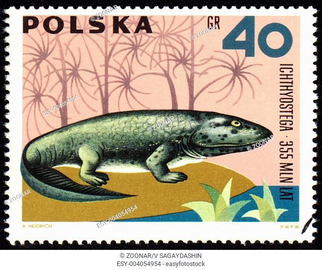 POLAND - CIRCA 1966: stamp printed in Poland shows dinosaur Ichthyostega