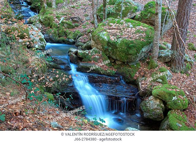 Stream on the path of the hermitage Virgen Lomos de Orios to the waterfalls of Puente Ra. Natural park Sierra Cebollera. La Rioja