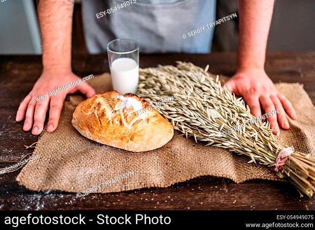 Homemade bakery concept, natural organic food. Baker hands against fresh baked bread bun with crispy crust, wheat bunch and glass of milk on burlap cloth