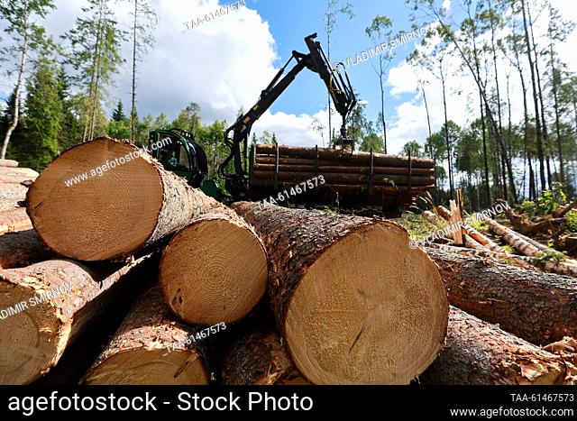 RUSSIA, VOLOGDA REGION - AUGUST 23, 2023: A log stacker operates at a timber site of Vozhega-Les, a logging company based in the village of Kadnikovsky and...