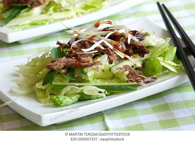 Crispy duck in hoisin sauce with lettuce and cucumber