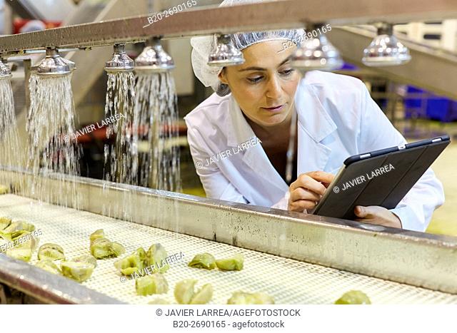Dull artichokes. Production line of canned vegetables and legumes, Canning Industry, Agri-food, Gvtarra, Grupo Riberebro, Villafranca, Navarre , Spain