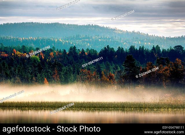 Autumn with yellow forest and misty Northern river. Lapland, Scandinavia