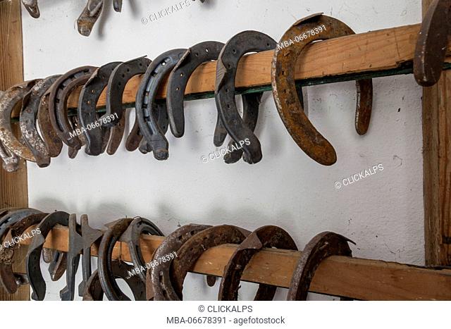 Horseshoes hung on the wall in the stables of the State Forestry Corp center of Selection Equestrian, Salet, Belluno Dolomites National Park, Monti del Sole
