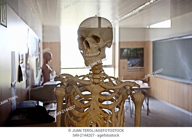 Science Classroom with Skeleton
