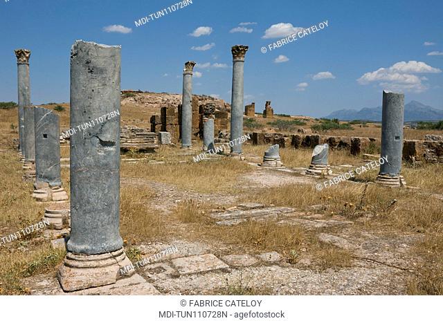 Tunisia - Thuburbo Majus - Columns of the temple which became a Christian church