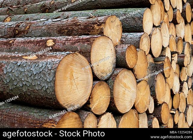 Stack of wood in the spruce forest, summer, Spessart, Bavaria, Germany