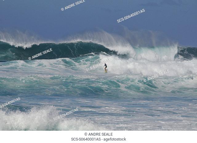 Surfers riding famous waves on north shore of Oahu, Hawaii