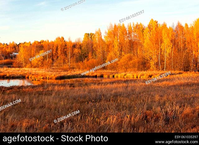 Nature landscape in vibrant autumn colors