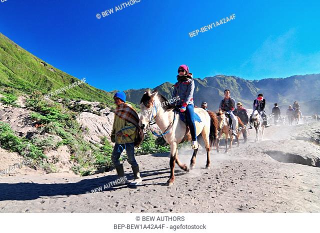 Horses for tourist rent at Mount Bromo of the Tengger massif, in East Java