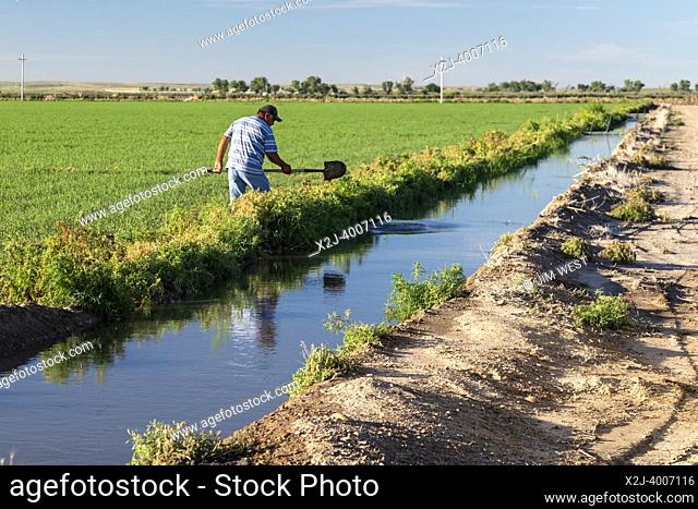 Holly, Colorado - A farmer uses a shovel to direct water from an irigation canal to his field in southeast Colorado