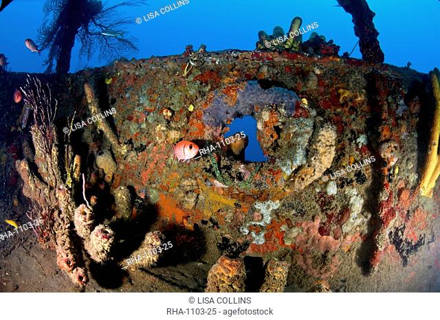 Coral encrusted porthole on the Lesleen M wreck, a freighter sunk as an artificial reef in 1985 off Anse Cochon Bay, St. Lucia, West Indies, Caribbean