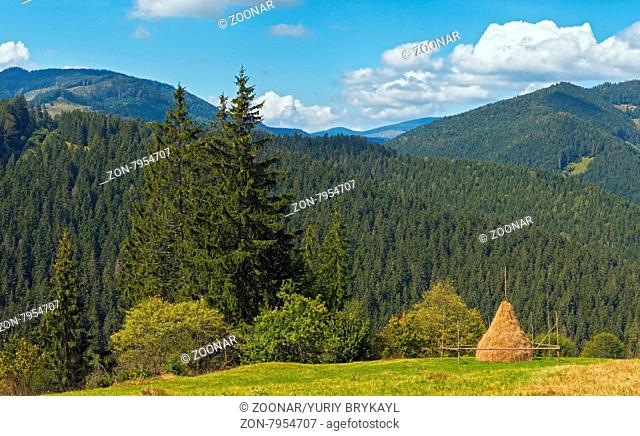 Summer mountainous green meadow with stack of hay (Carpathian Mts, Ukraine)