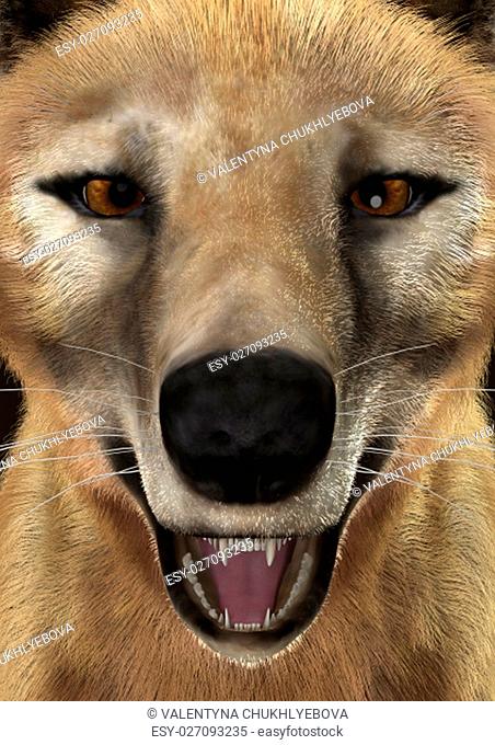 3D rendering of a head of a died animal thylacine , closeup