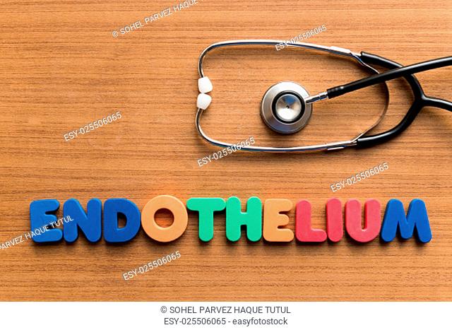 endothelium colorful medical word and stethoscope on the wooden background