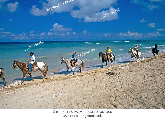 Horse riders on beach. Cayman Islands. Caribbean. UK