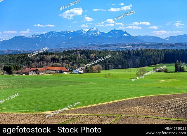 Germany, Bavaria, Upper Bavaria, district of Rosenheim, Feldkirchen-Westerham, district of Aschhofen, cultural landscape with district of Wertach against...