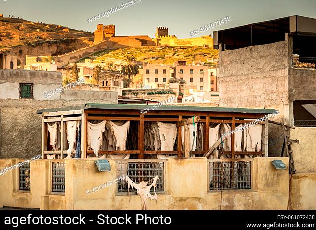 Drying leather on top of a building in tannery in Fez, Morocco