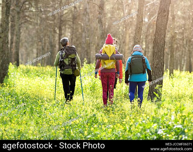 Mature men and women wearing backpacks walking in forest