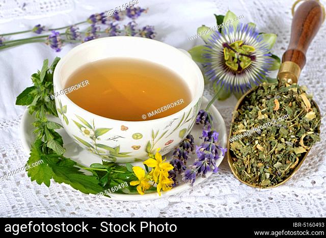 Nervous (Passiflora incarnata) and calming tea, lemon balm leaves (Lemon balm officinalis) lemon balm, passion flower, St