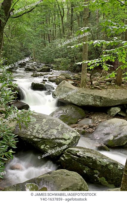 Roaring Fork stream on the Roaring Fork Motor Nature Trail in the Great Smoky Mountains National Park, Tennessee