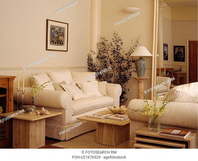 Cream sofas in traditional cream living room