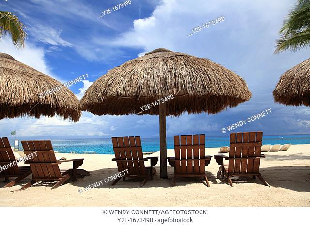 Beach, Chankanaab National Park, Cozumel Island, Isla de Cozumel, Quintana Roo, Mexico, Caribbean