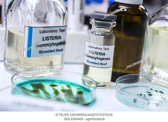 Samples you analyze of stuffed meat contaminated by bacterium of listeria in laboratory, sprout caused in Spain