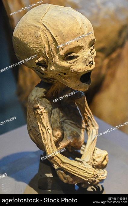 GUANAJUATO, MEXICO - May 06, 2013: El Museo De Las Momias, mummies of Guanajuato, buried in 1833 due to a cholera epidemic, a natural mummification